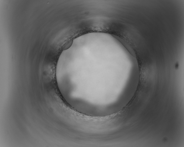 X0000115260043200912111150