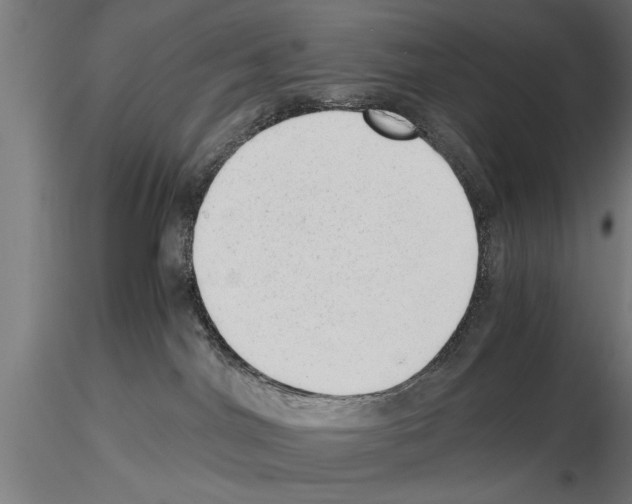 X0000115260044200912111150