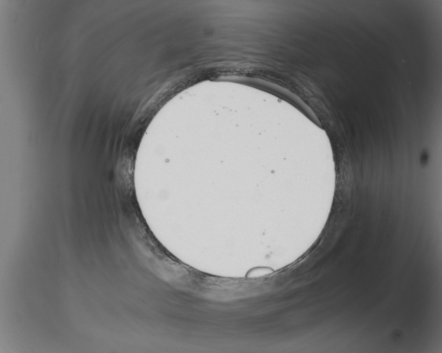 X0000115260045200912111150