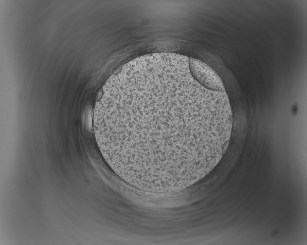 X0000115260046200912111150