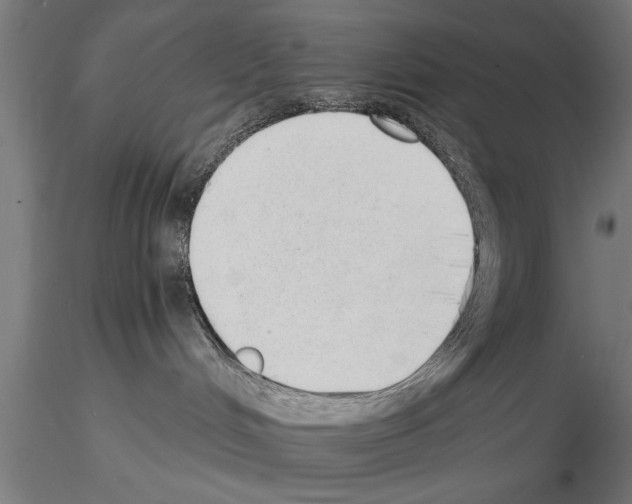 X0000115260048200912111150