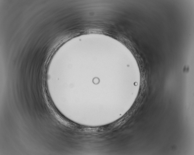 X0000115260049200912111149