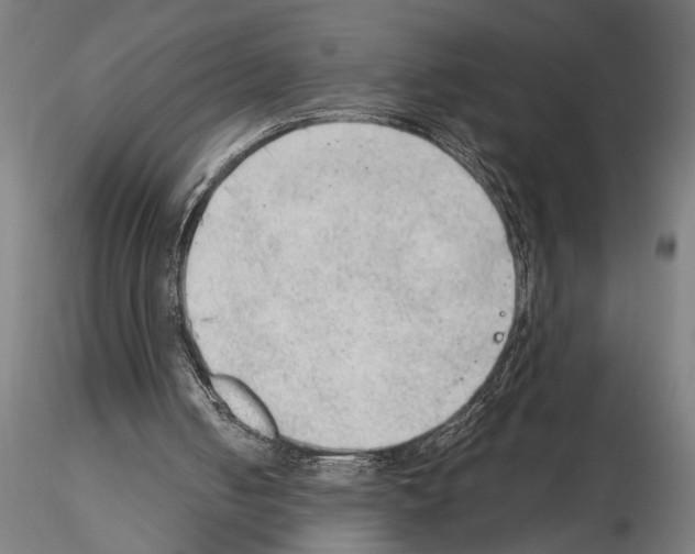 X0000115260050200912111149