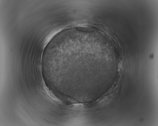 X0000115260052200912111149