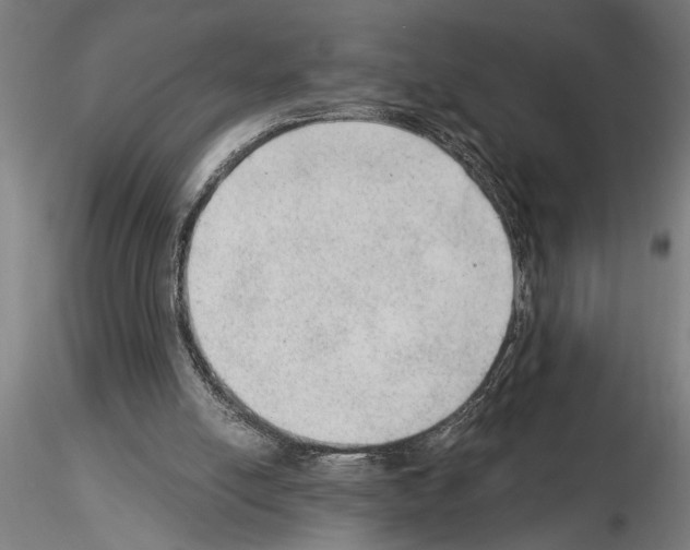 X0000115260054200912111149