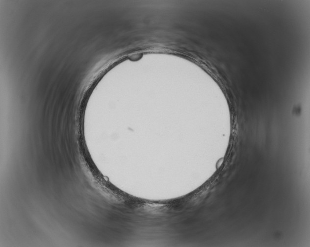 X0000115260055200912111149