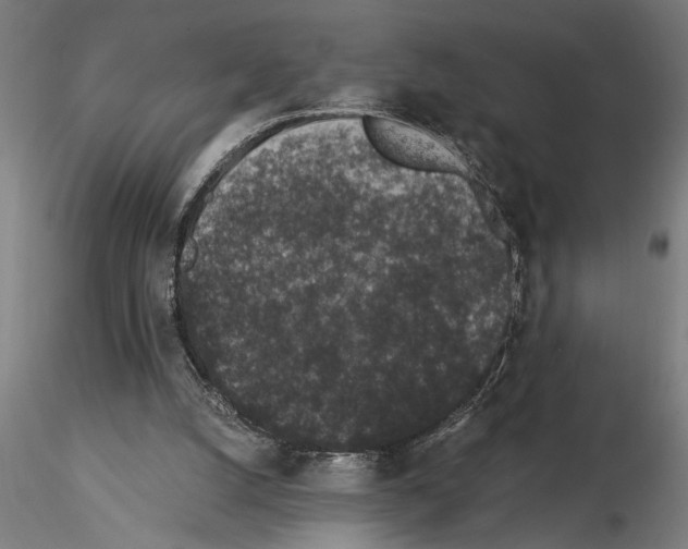 X0000115260056200912111149