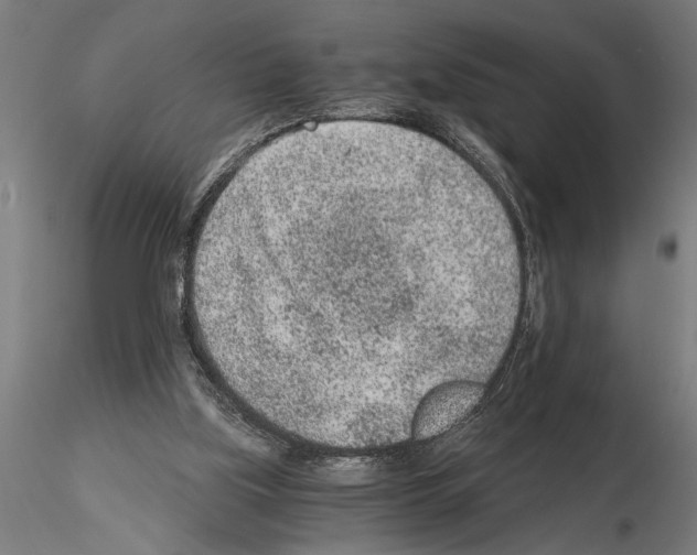 X0000115260059200912111149