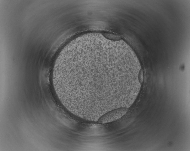 X0000115260060200912111149