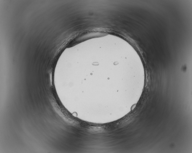 X0000115260061200912111149