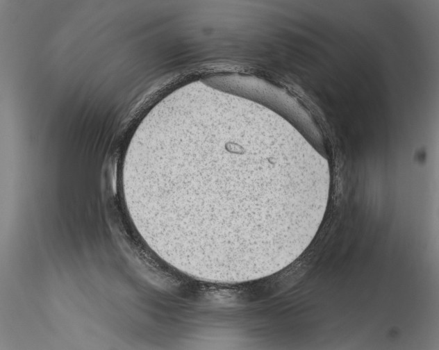 X0000115260062200912111149