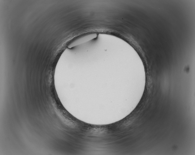 X0000115260063200912111149