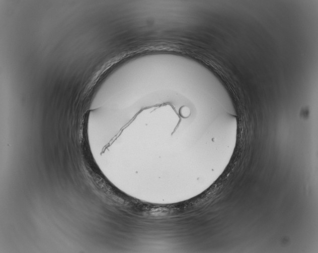 X0000115260064200912111149