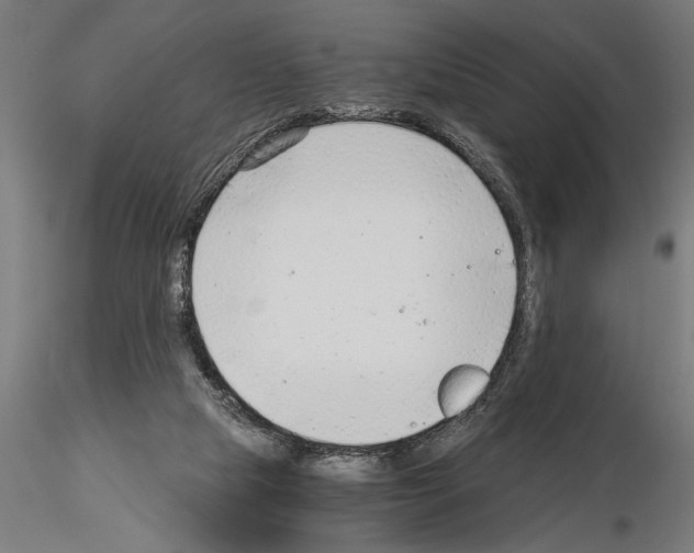 X0000115260065200912111149