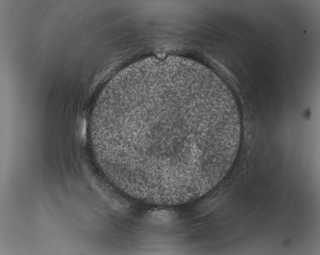 X0000115260067200912111150