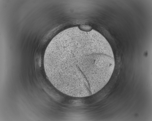 X0000115260068200912111150