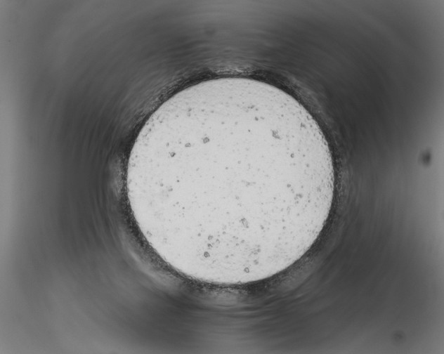 X0000115260069200912111150