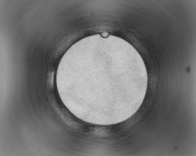 X0000115260070200912111150