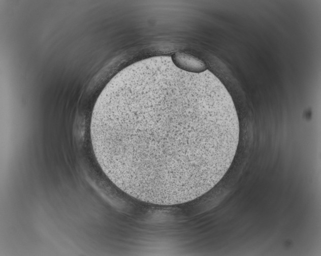 X0000115260072200912111150