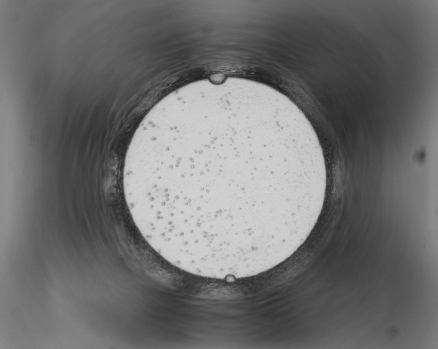 X0000115260073200912111150