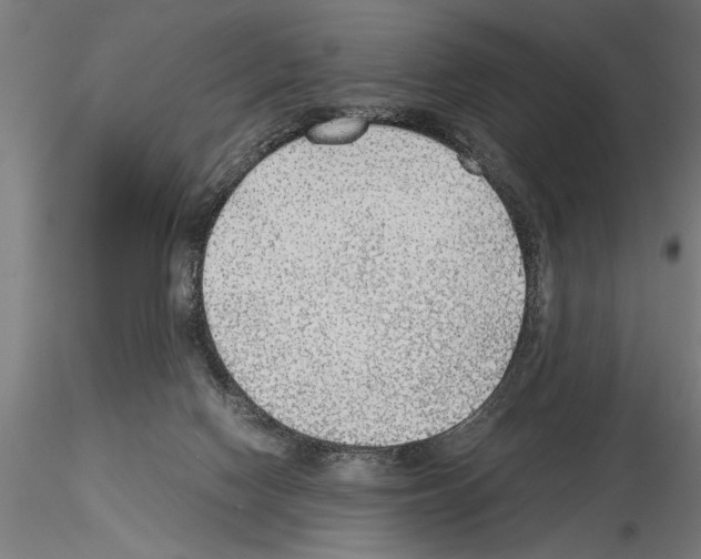 X0000115260074200912111150