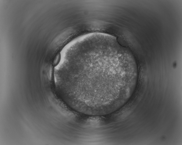 X0000115260076200912111150