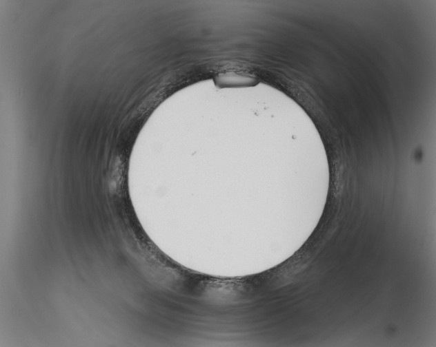 X0000115260077200912111150