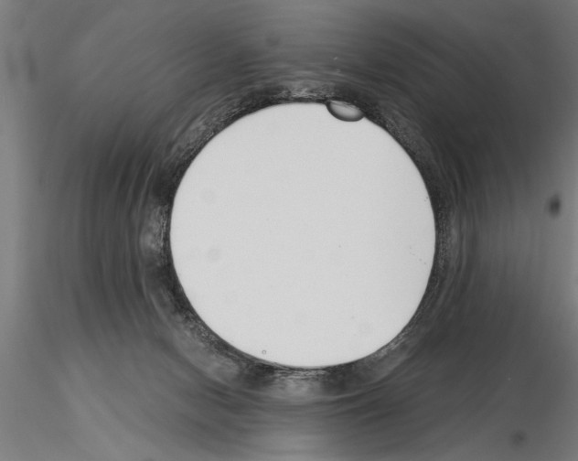 X0000115260078200912111150