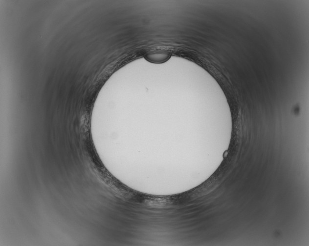 X0000115260079200912111150