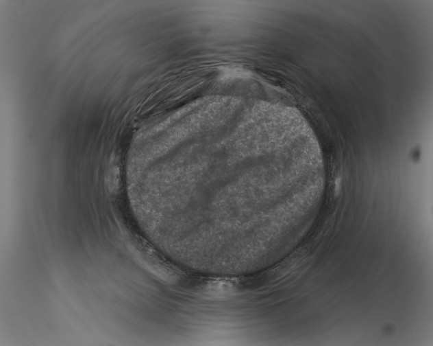 X0000115260080200912111150