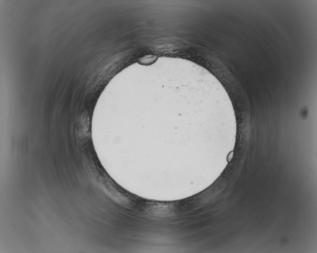 X0000115260081200912111150