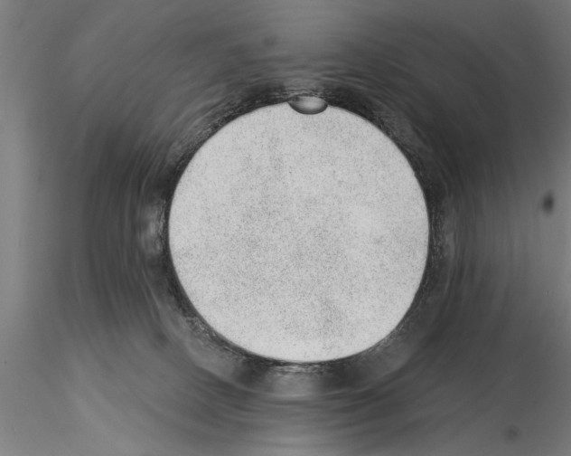 X0000115260082200912111150