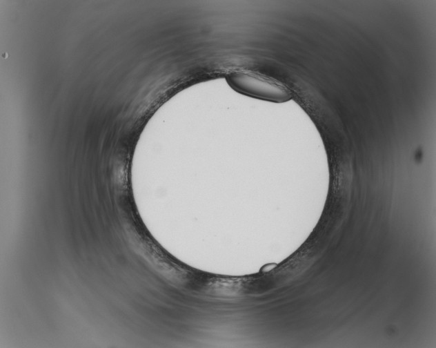 X0000115260084200912111150