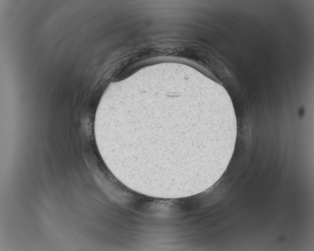 X0000115260086200912111150