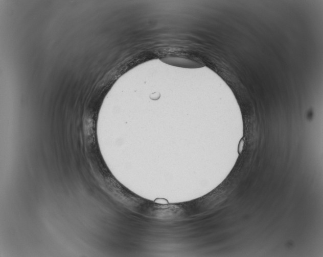 X0000115260087200912111150