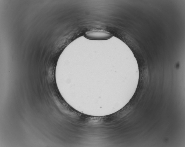 X0000115260088200912111150