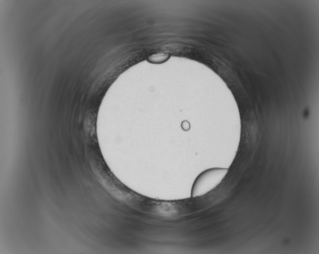 X0000115260091200912111150