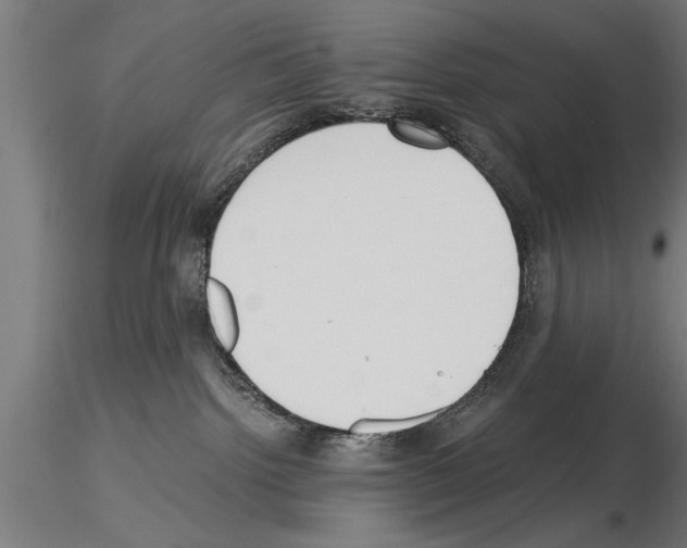 X0000115260092200912111150