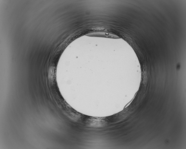 X0000115260093200912111150