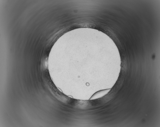 X0000115260095200912111150