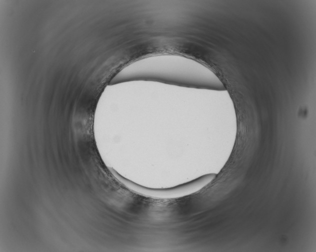 X0000115260096200912111150