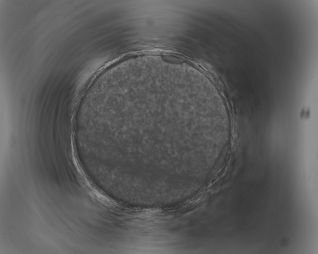 X0000115260097200912111149