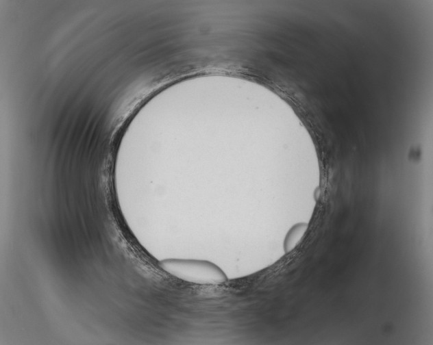 X0000115260098200912111149