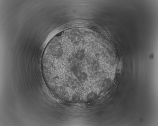 X0000115260099200912111149