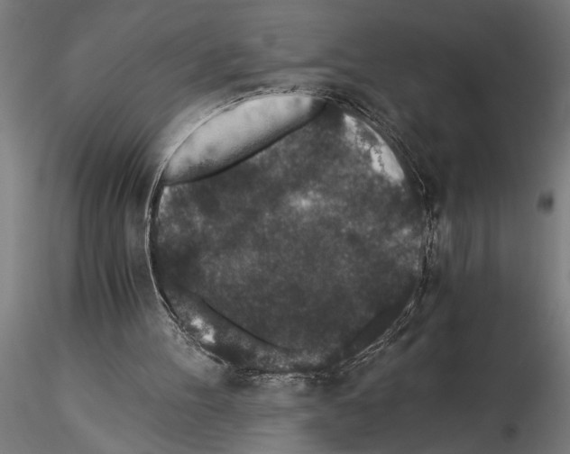 X0000115260100200912111149