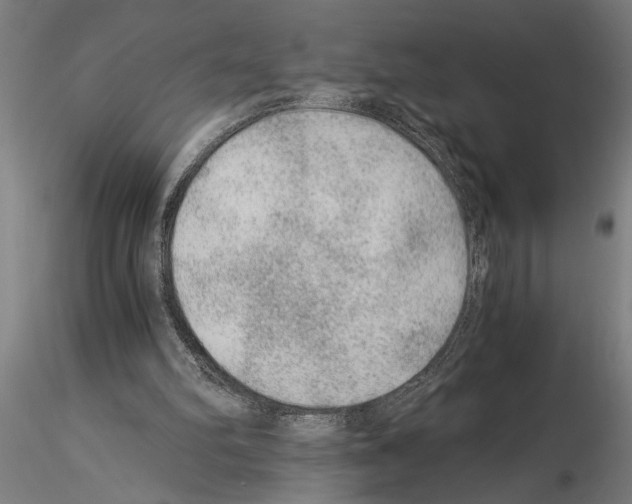 X0000115260102200912111149