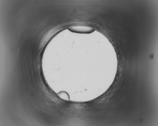 X0000115260103200912111149