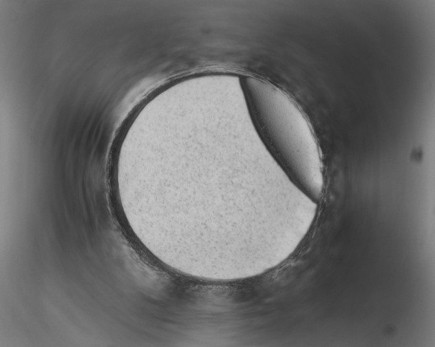 X0000115260104200912111149