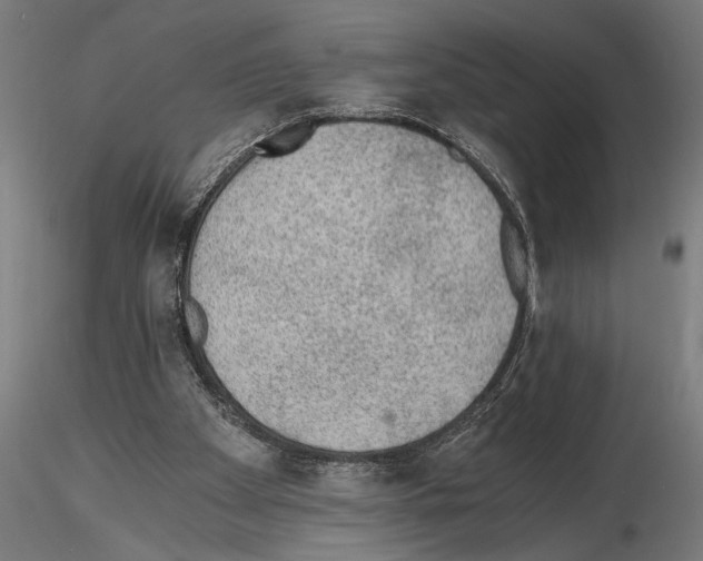 X0000115260105200912111149