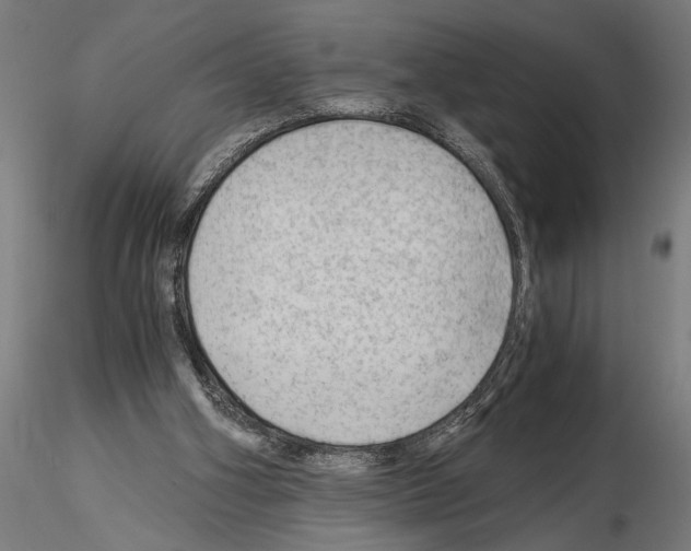 X0000115260106200912111149